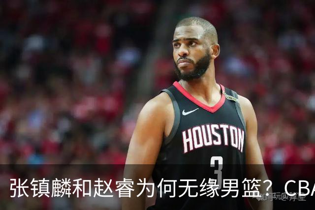 张镇麟和赵睿为何无缘男篮？CBA名记分析，道出2个原因